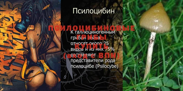 не бодяженный Арсеньев