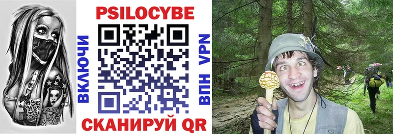 маркетплейс какой сайт  Унеча  Псилоцибиновые грибы MAGIC MUSHROOMS  как найти наркотики 